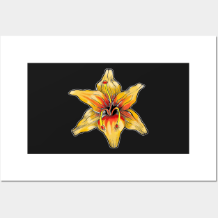 Daylily Posters and Art